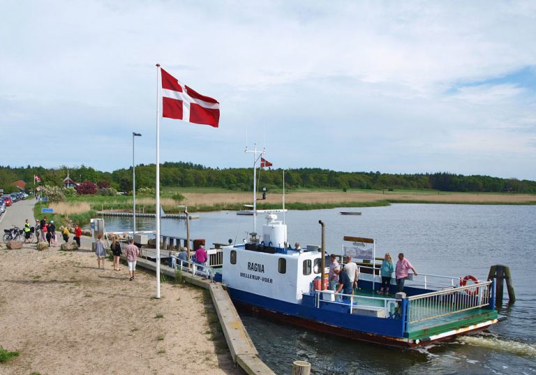 Det kan du opleve i Ørsted og omegn: Mange attraktioner og fantastisk natur